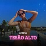 Grupo Alto Tesao